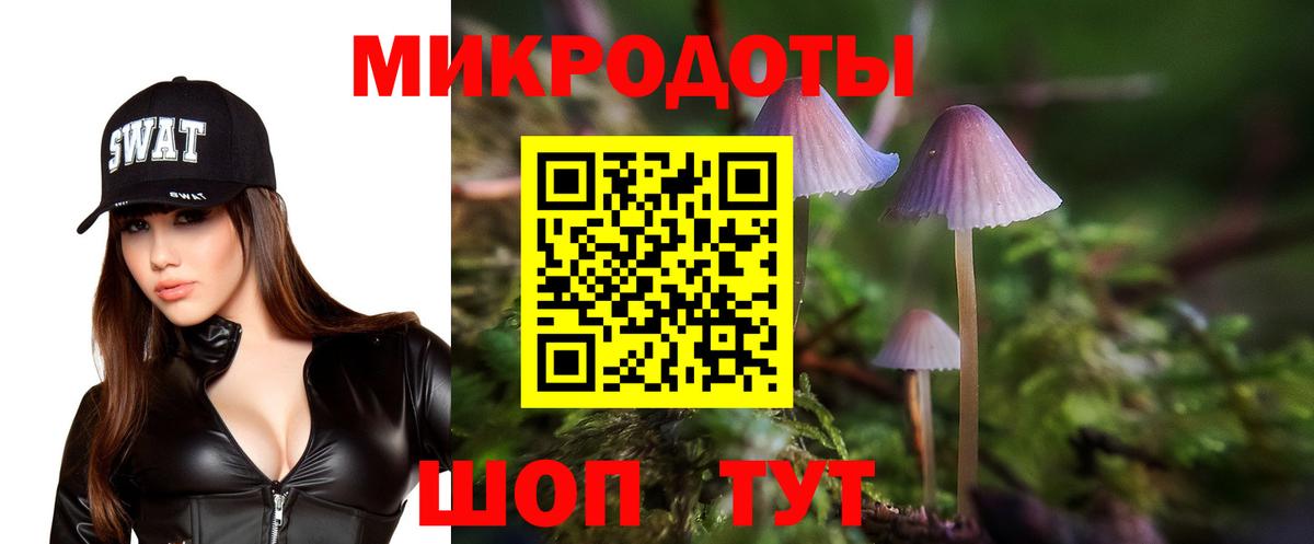Псилоцибиновые грибы мухоморы  Псилоцибиновые грибы прущие грибы  Елабуга  Вход с VPN 
